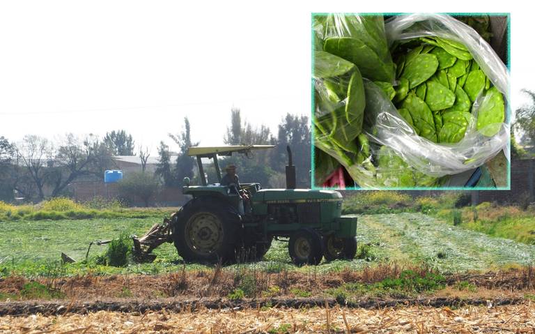 Destaca municipio de León en el desarrollo rural