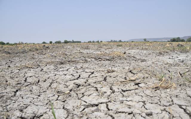 Sufren agricultores de Duarte por robos y sequía